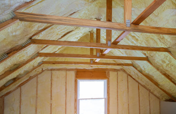 Best Insulation Removal  in Union Springs, NY