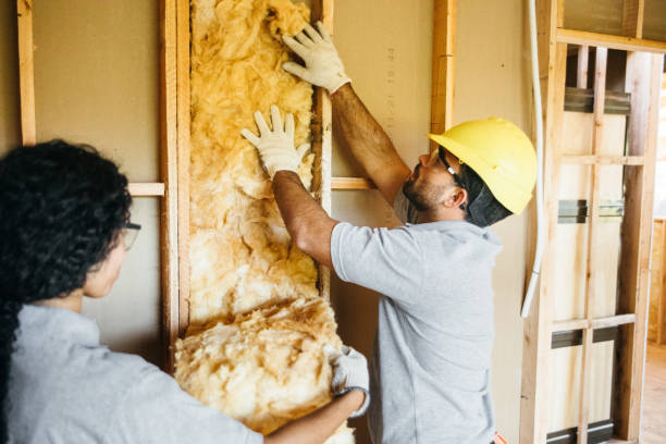 Best Best Insulation Companies  in Union Springs, NY