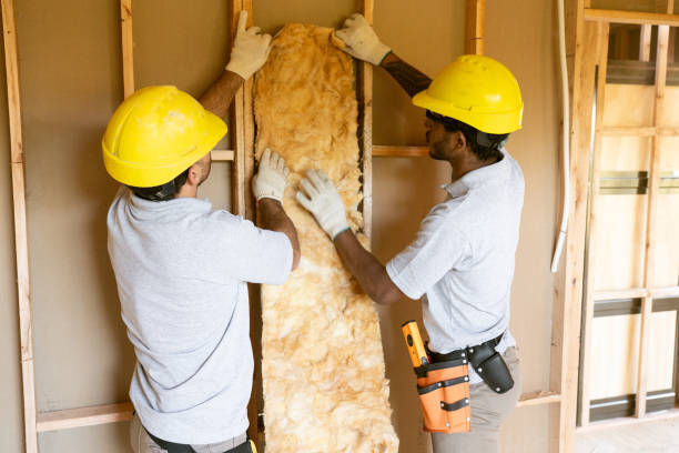 Best Insulation Repair Services  in Union Springs, NY
