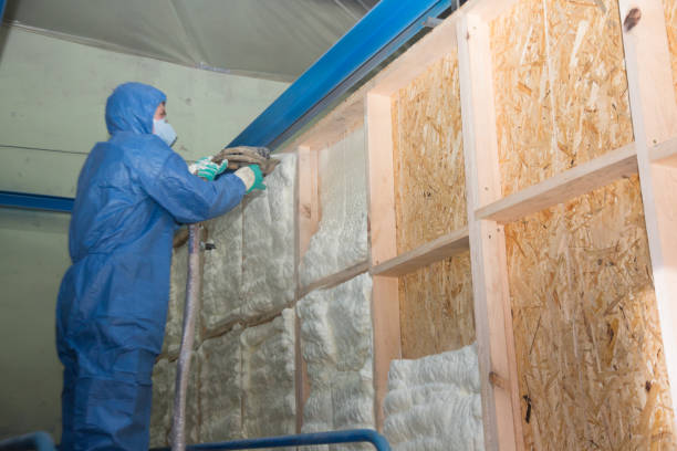 Best Insulation Replacement Services  in Union Springs, NY