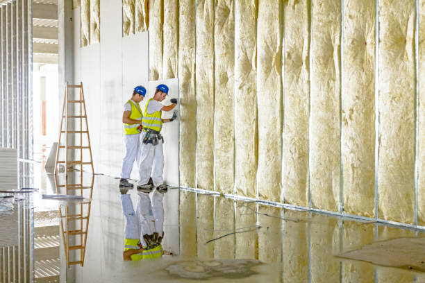 Best Wall Insulation Contractor  in Union Springs, NY